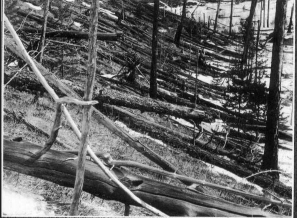 30 июня 1908. Тунгусский метеорит. Тунгусский метеорит 30 июня 1908 года. Тунгусская катастрофа 1908 года. Тунгусский метеорит поваленные деревья.